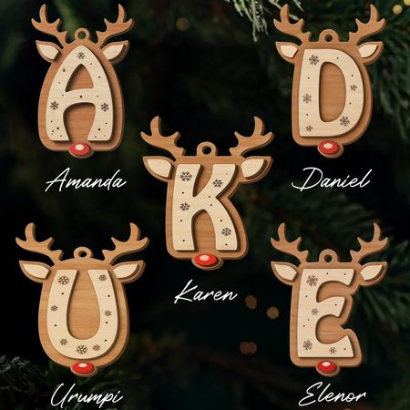 Personalized Wooden Reindeer Ornaments – Custom Double Layer Christmas Decorations for the Whole Family, Perfect Holiday & Birthday Gift
